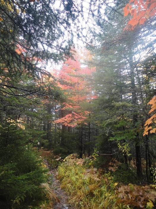 Autumn in full swing on Speckled Mountain (Credit: Remington34)
