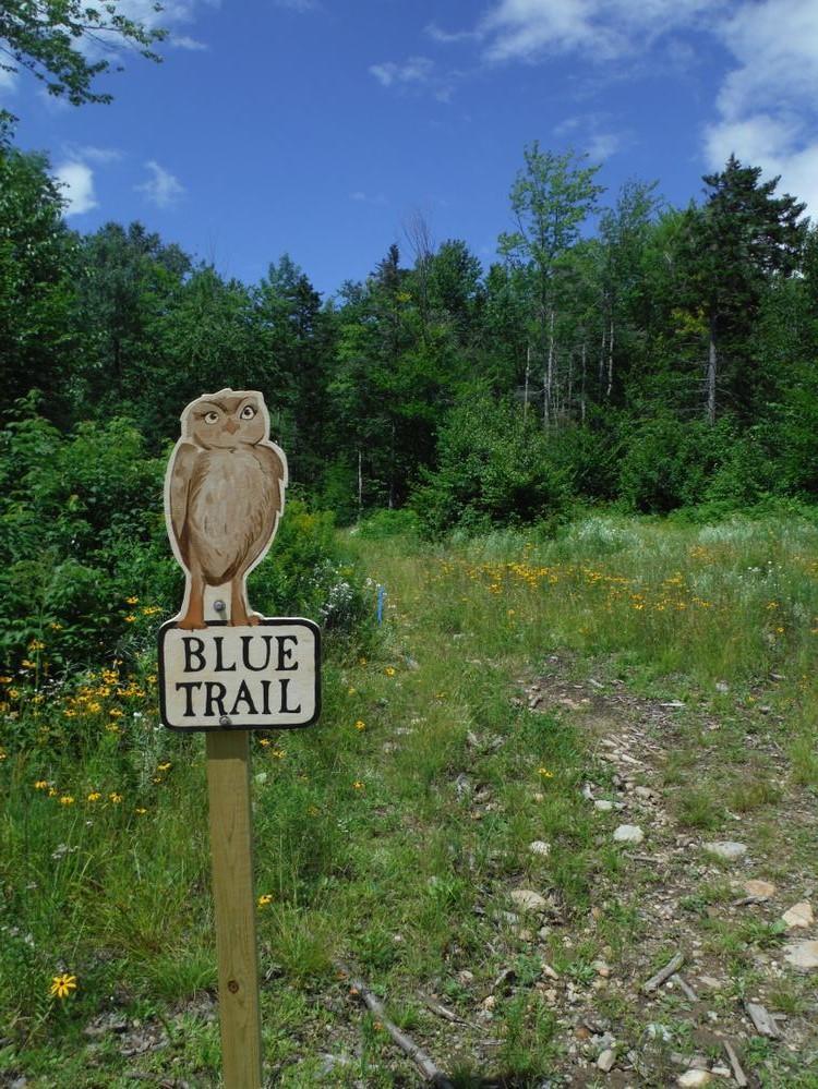 Blueberry Mountain Trail