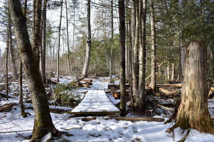 Yankee Woodlot Maine Trail Finder