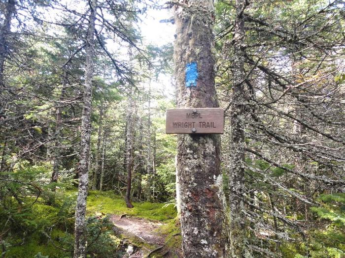 Excellent blazing and signage so that you stay on the Wright Trail and not the Wrong one (Credit: Remington34)