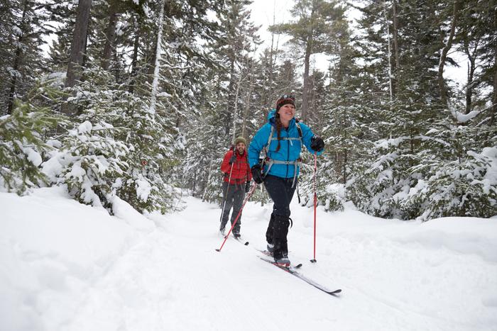 AMC Trails: Gorman-Chairback Ski Trails - Maine Trail Finder
