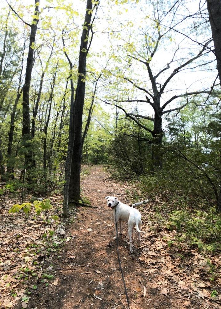 Indian Trail Park - Maine Trail Finder