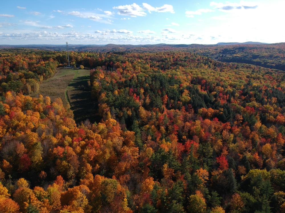 Drone photo of the Jay Recreation Area, October 2019 (Credit: Peter Osborne)