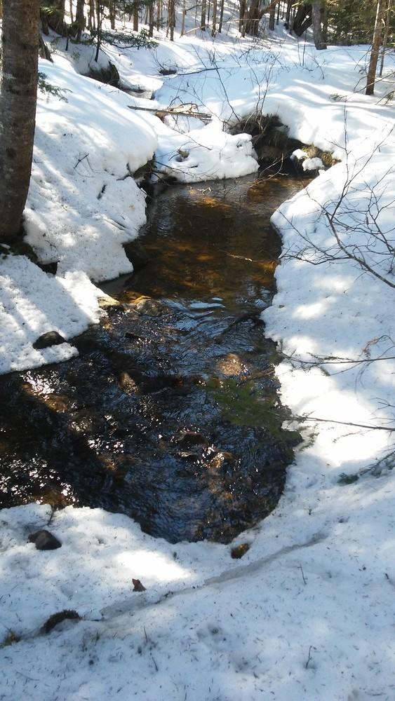 Machias River Preserve Maine Trail Finder