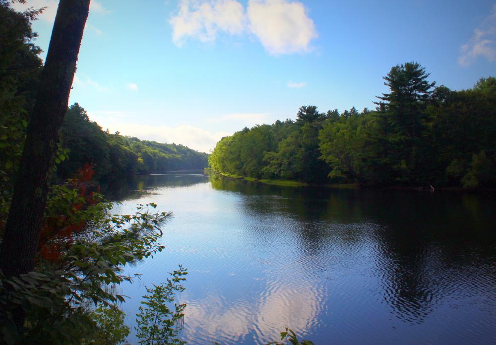 View of the Saco River from the end of the trail (Credit: gary janson)