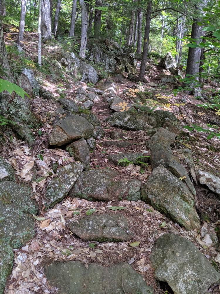 Stone steps at the beginning of the trail (Credit: CCGIS)