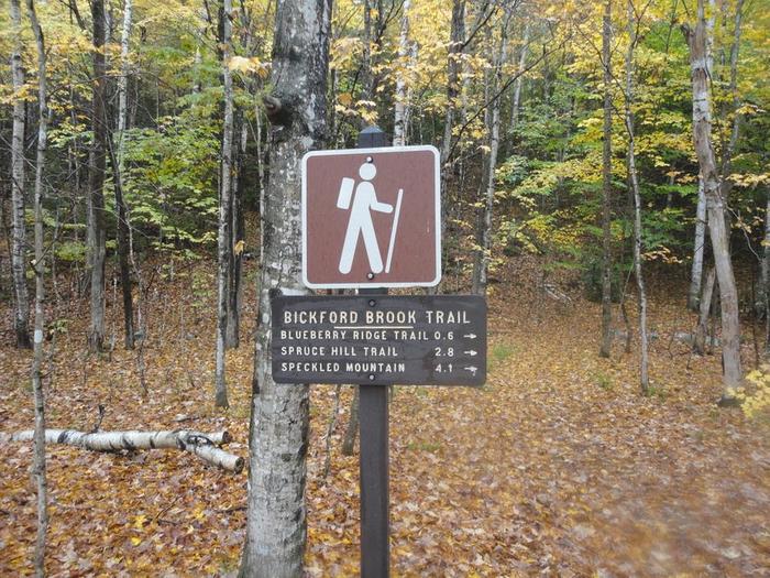 Signage Bickford Brook Trail (Credit: Remington34)