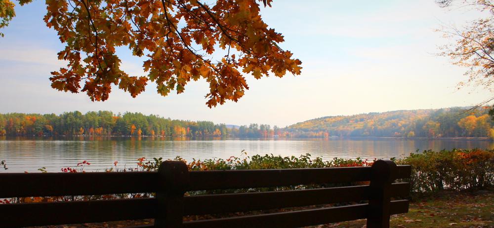 Fall morning on the lake (Credit: gary janson)