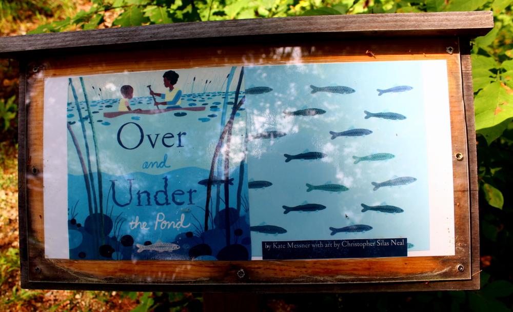 Hawkes Preserve Maine Trail Finder