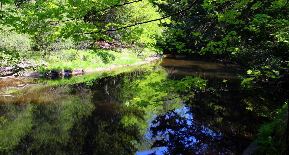 Little River Property Maine Trail Finder