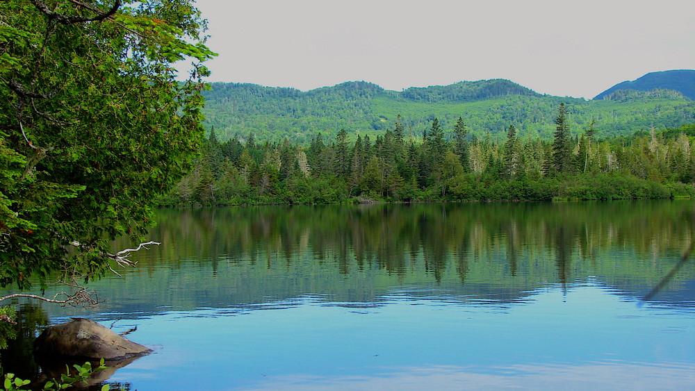 AMC Trails Trout Pond Ski Loop Maine Trail Finder