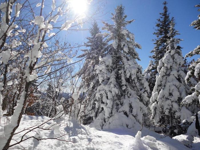 Winter wonderland at half-way point (Credit: Remington34)