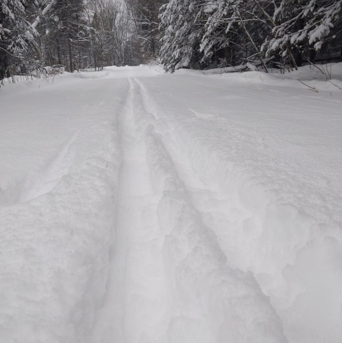 Ski tracks through 6 inches of new snow on a wide trail.