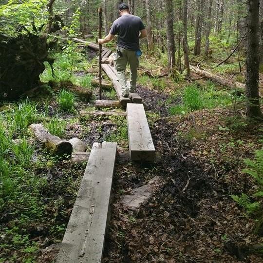 Very narrow and gapped bog bridges.