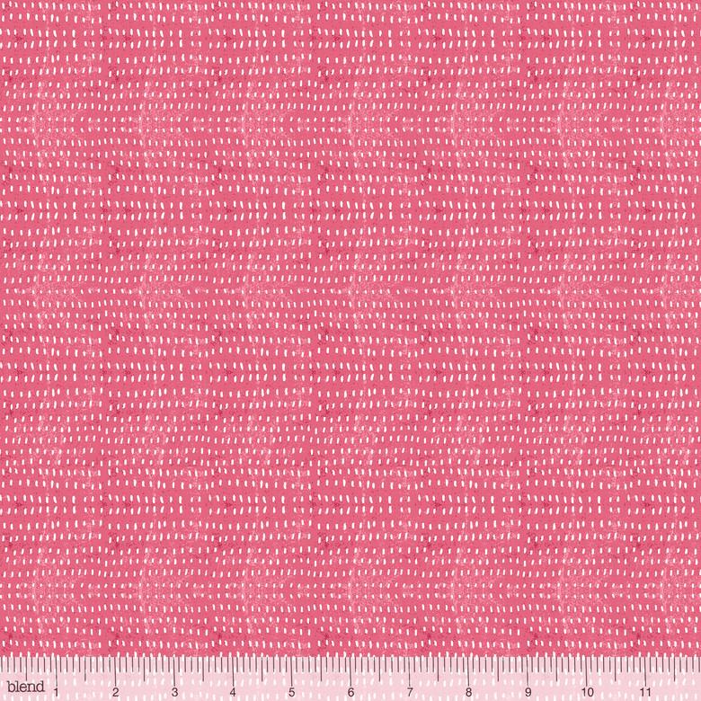 Seeds Carnation  SALE