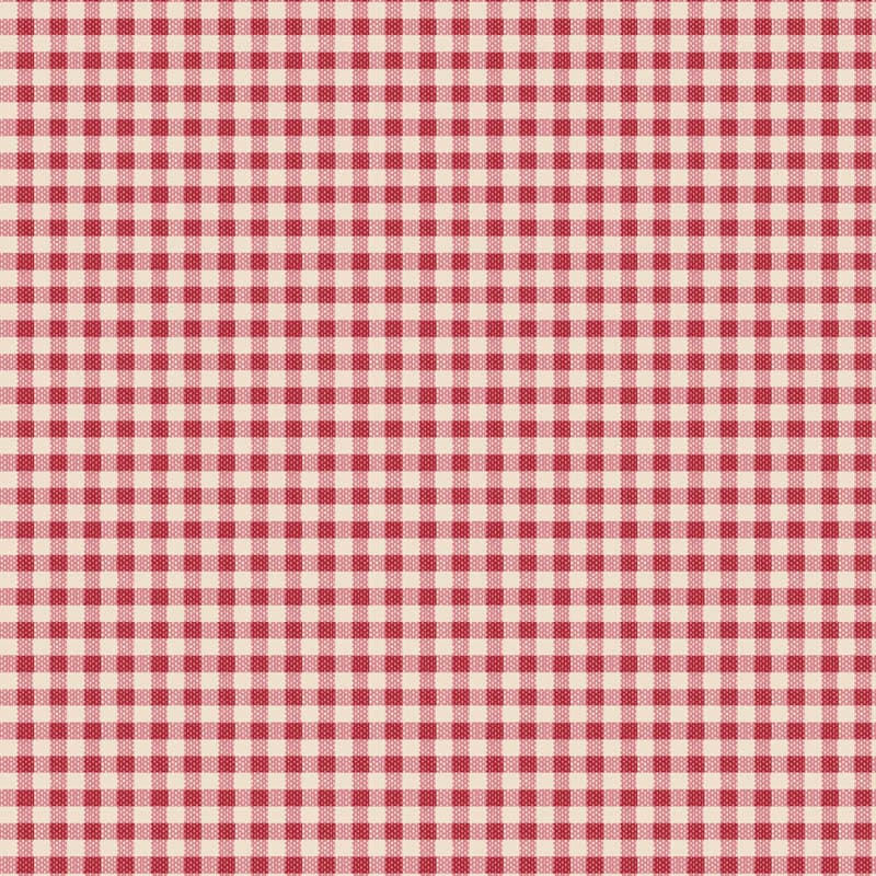 Gingham Red  160087