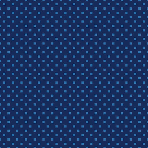 Snazzy Squares  navy/Blue  16207 55