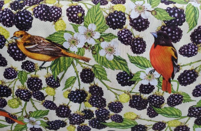Maine Birds and Berries Oriole and Blackberry  SALE