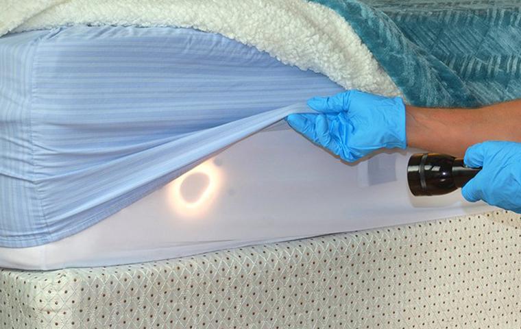 a pest control technician inspecting a mattress for bed bugs