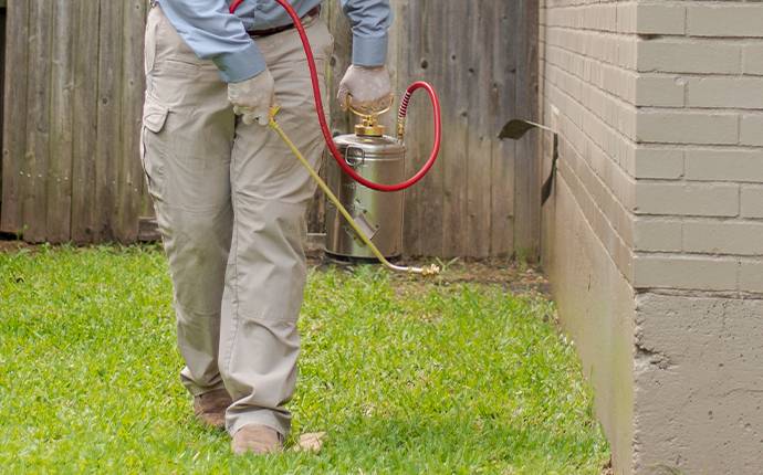 exterior ant treatment