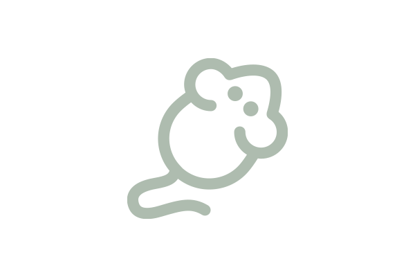 image of a mouse