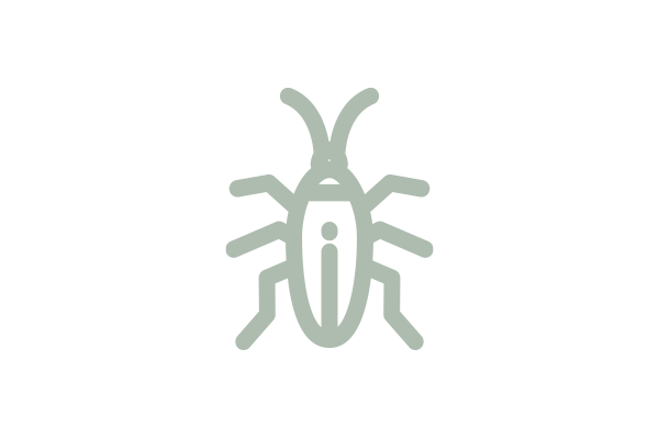 an illustration image of a tick