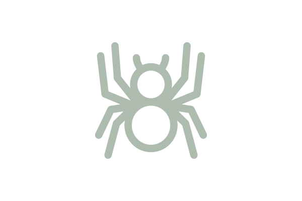 spider icon