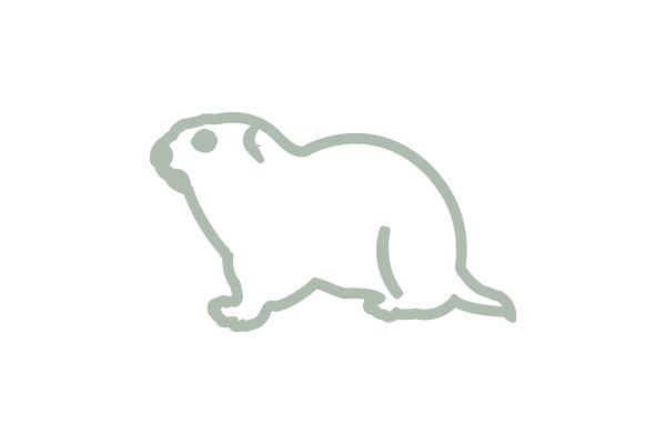 image of gopher
