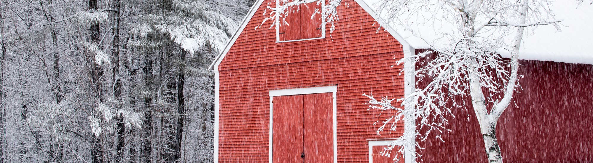 Winter Knapps Barn in Snow Storm
