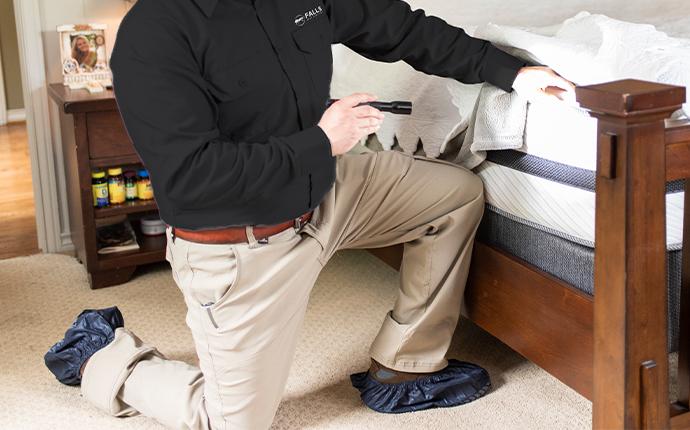 a technician inspecting a bed in idaho falls