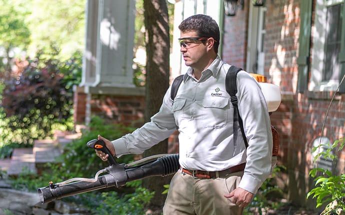 Our Treatments Are Thorough And Guaranteed pest control technician treating a yard for mosquitoes in cadillac maine