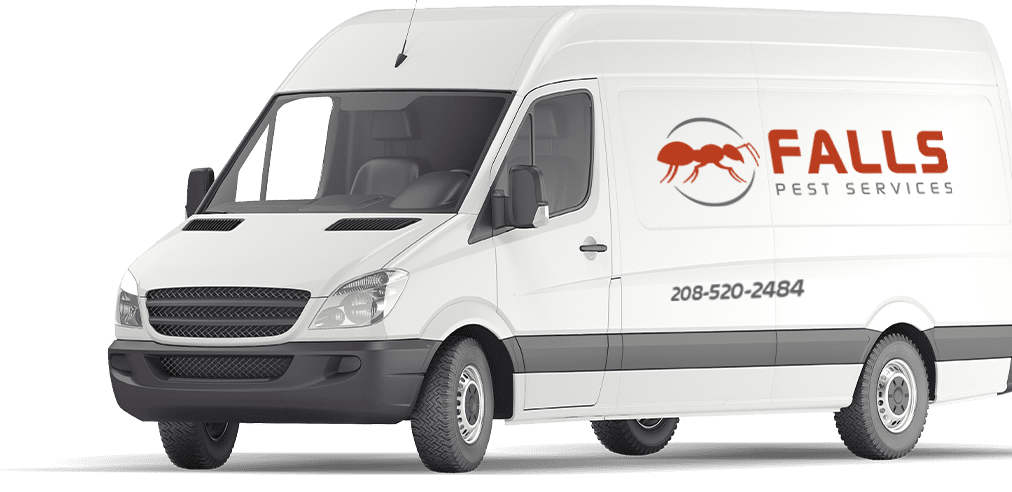 falls pest services van