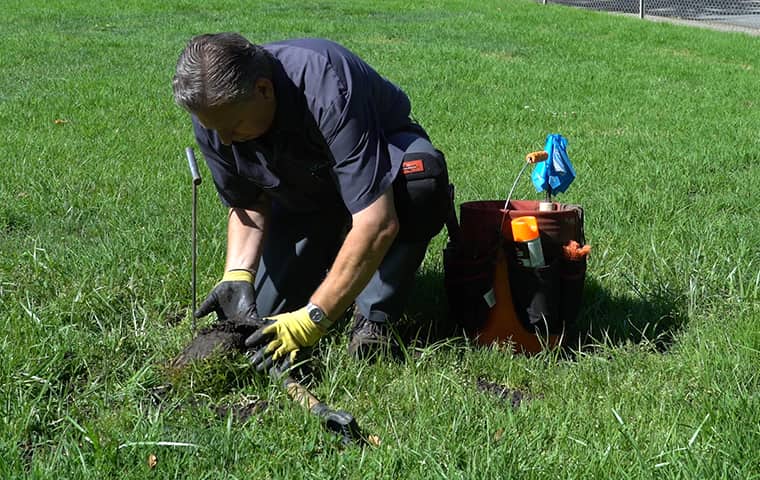 Los Gatos Properties Suffer From Gopher Damage a smiths pest management service technician treating a home in los gatos california