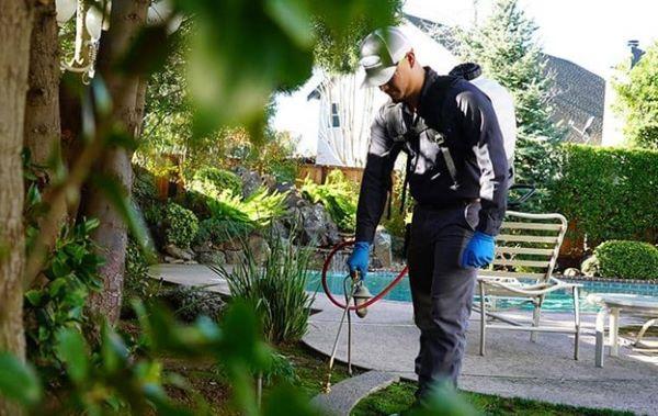 pest control company