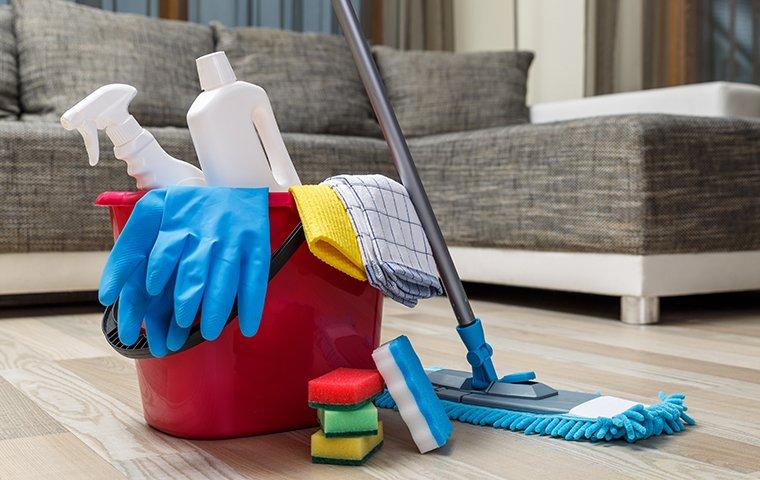 a bucket of spring pest preventing cleaning supplies
