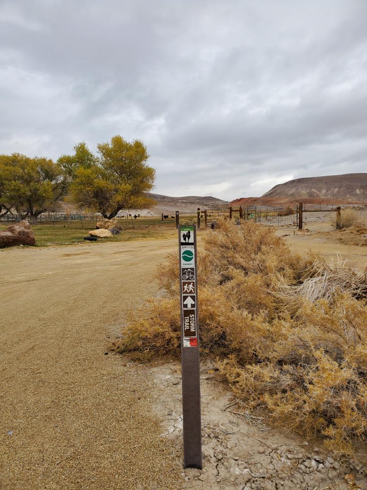 Spicer Ranch Mountain Bike Trails Nevada Trail Finder