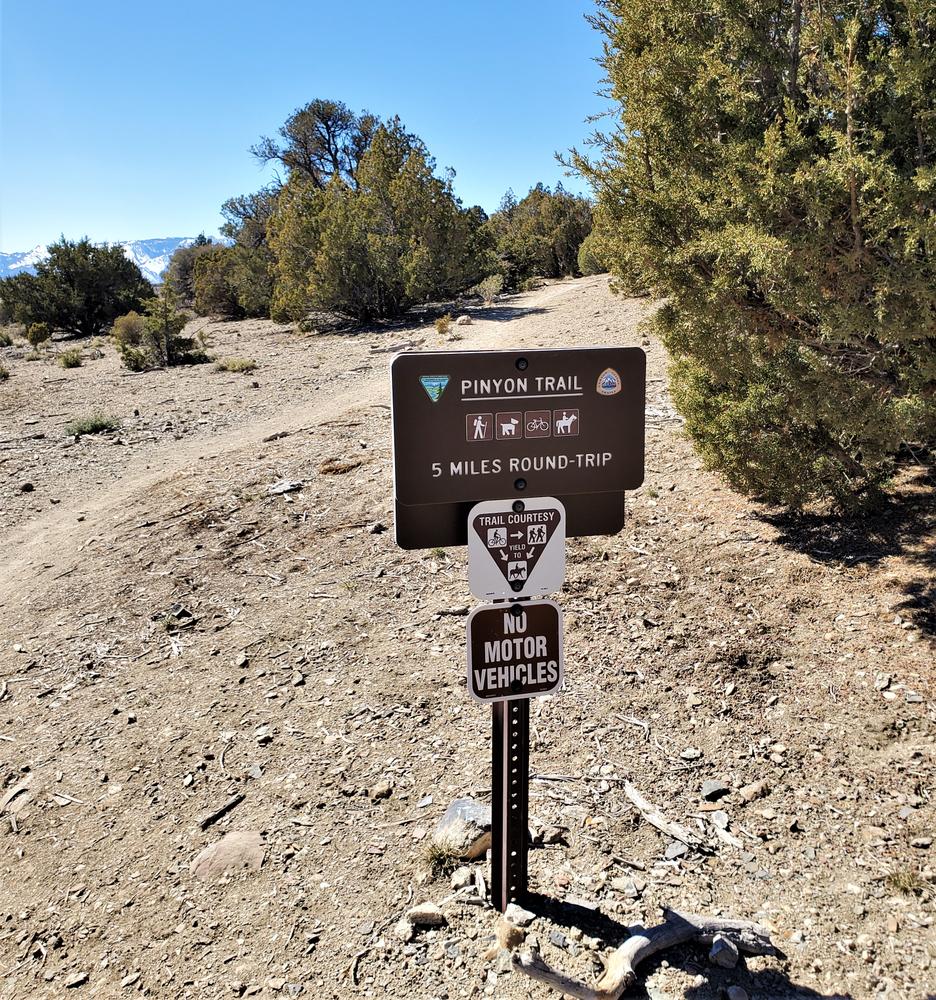 Pinyon Trail Nevada Trail Finder