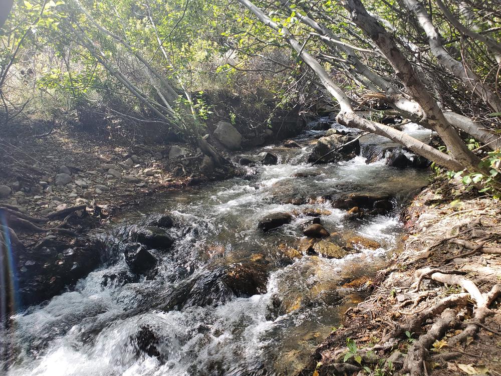 Hunter Creek Trail Nevada Trail Finder