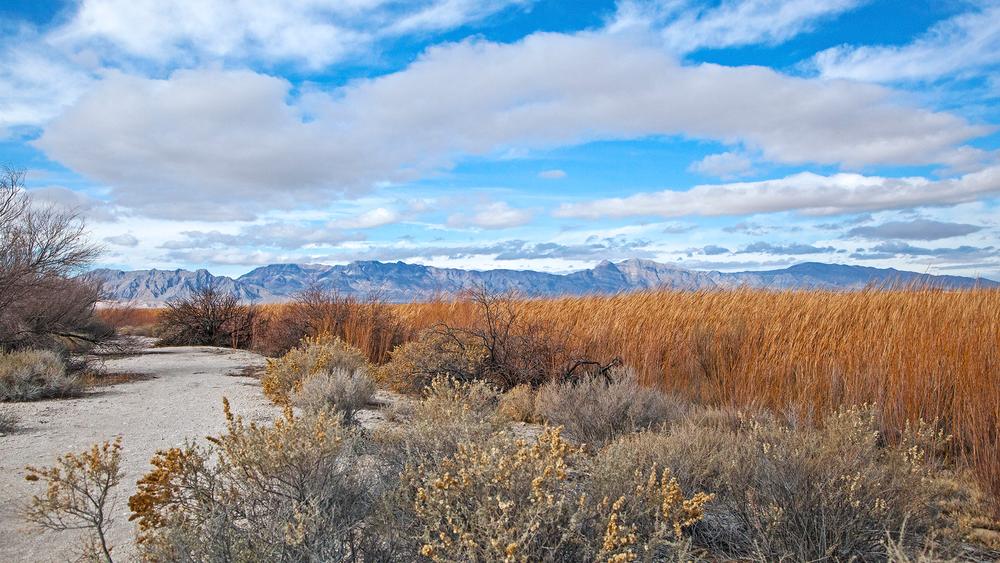 Ash Meadows National Wildlife Refuge - Nevada Trail Finder