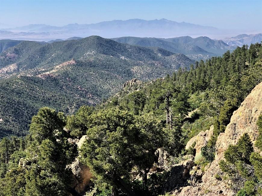 Mesquite to Caliente OHV Trails Nevada Trail Finder