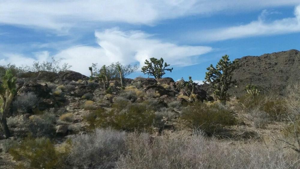 Jean And Roach Dry Lake Beds Nevada Trail Finder 8506