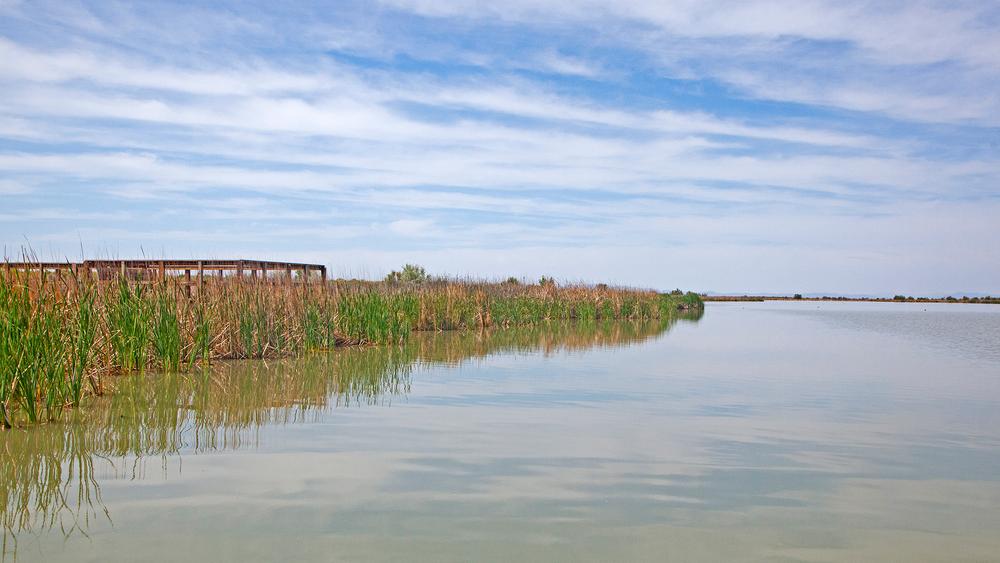 Stillwater National Wildlife Refuge Nevada Trail Finder