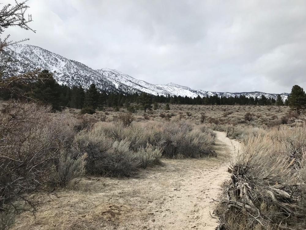 FayLuther/Jobs Peak Ranch Trail System Nevada Trail Finder