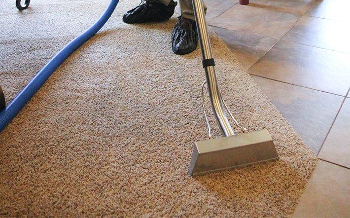 tech cleaning a carpet