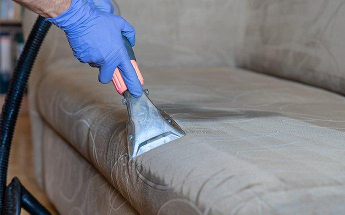 a tech cleaning an upholstered couch