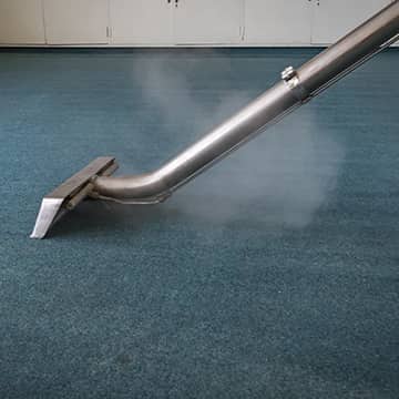 Learn About Professional Carpet Cleaning Services a professional home carpet cleaning wand in loch lloyd missouri