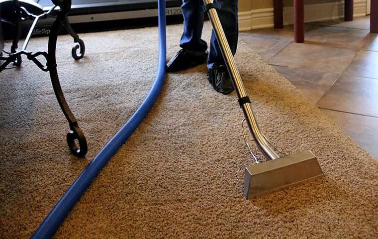 Supreme Cleaning Company Carpet Cleaning Highland Park