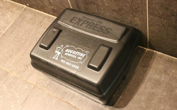 Quality Rodent Control Services rodent bait station