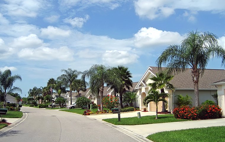 street view of homes in a homeowner association