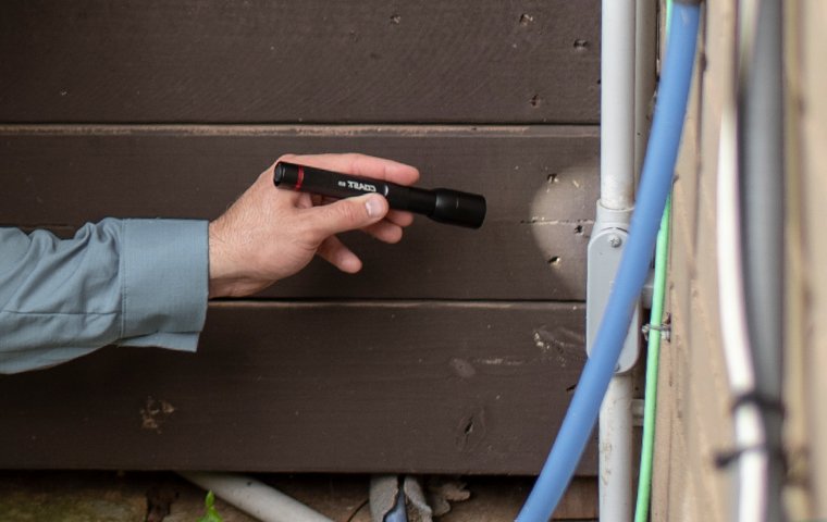 a pest technician inspecting the exterior of a home